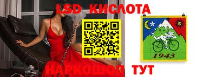 гидра Кинель