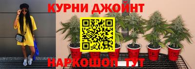 mdpv Кимры
