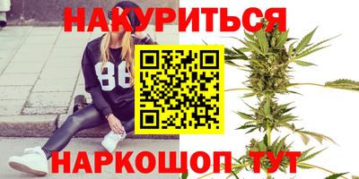 Альфа ПВП Кингисепп