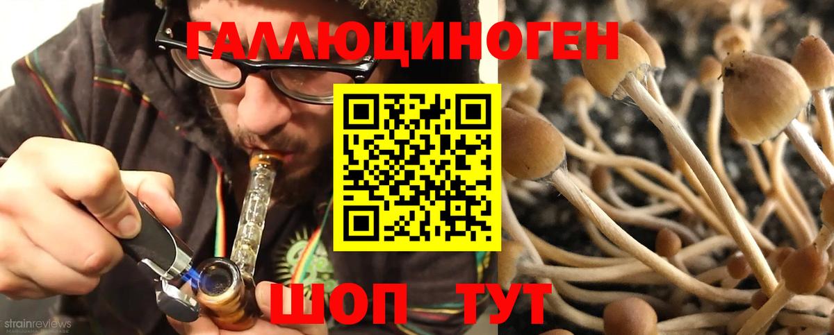 Псилоцибиновые грибы мухоморы  Вход с VPN  Куйбышев 